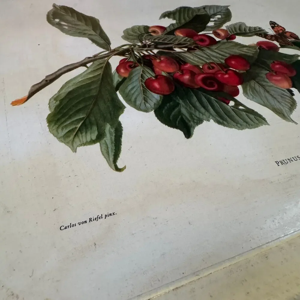 Vintage 90s Williams Sonoma Cherry Floral Serving Tray Italy Cottagecore